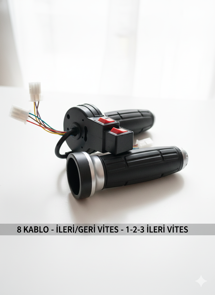 3 Tekerli Elektrikli Motor Geri Vitesli Ileri 3 Vitesli Gaz Kolu