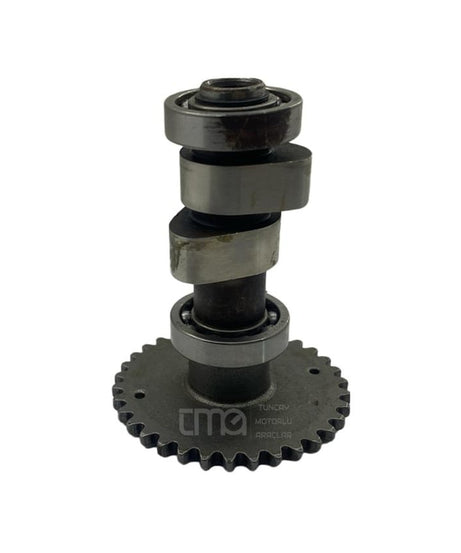 Asya 250 Armada Eksantrik Mili