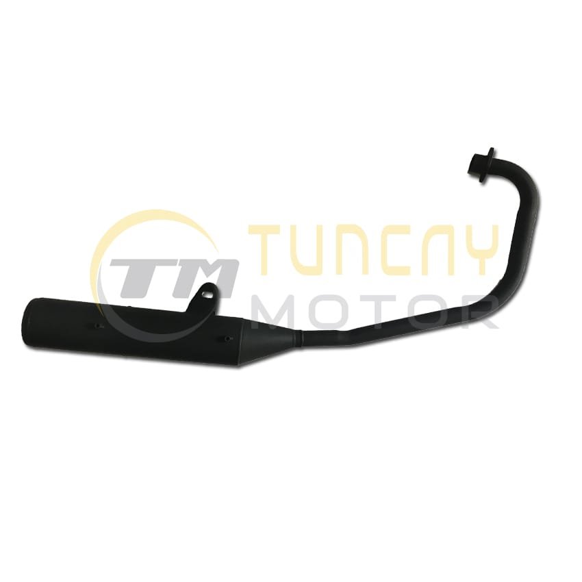 Asya 150 Elegant Egzoz