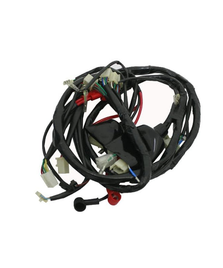 RMG Moto Gusto 150 Venice Elektrik Tesisatı Komple Orijinal