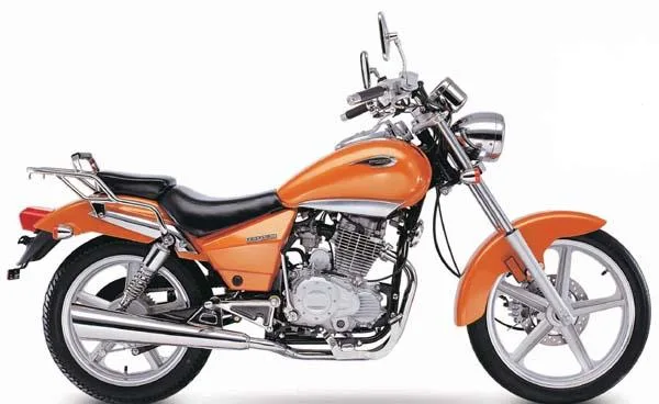 Zealsun ZS 125-30 Benzin Deposu Orjinal Siyah - Görsel 2