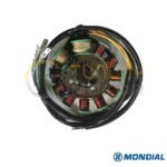 Mondial 250 MCT Alternatör Komple (Marş Kilitleme Üzerinde) - Görsel 2