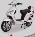 Motoran Pinto Elektrikli Bisiklet Arka Jant Motor 16" (48V - 250 Watt) - Görsel 2