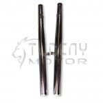 IZH Planet 5 Çift Egzoz (ACS) - Görsel 2