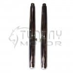 IZH Planet-5 Çift Egzoz (ACS)