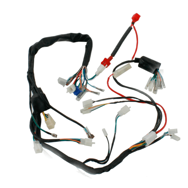 Mondial 150 MR Vulture Elektrik Tesisatı
