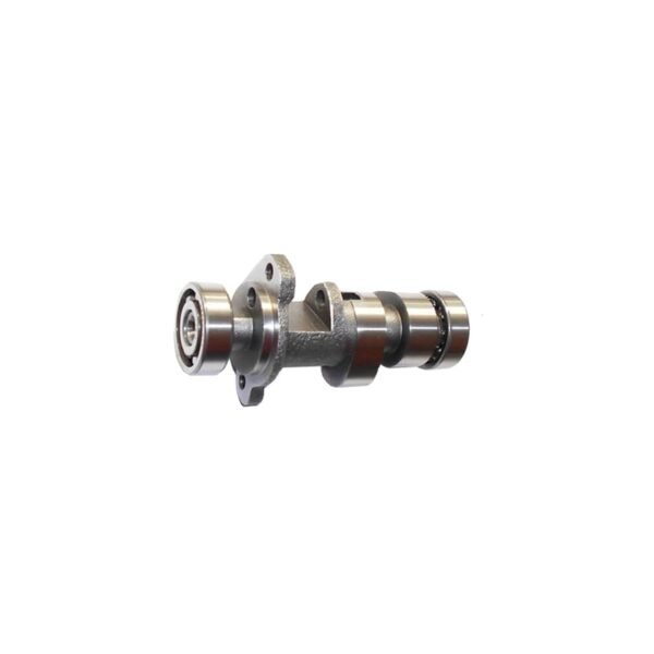 Mondial RX3i Evo 250 Eksantrik Mili