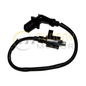 Asya 125T Nostalji Ateşleme Bobini