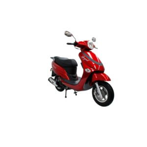 Mondial Loyal 100 Yedek Parça